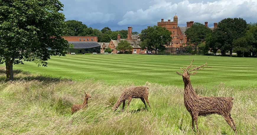 A rewildings area on the ECS campus with long grass and artistic deers made of twigs and branches