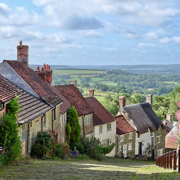 Shaftesbury Gold Hillsquare