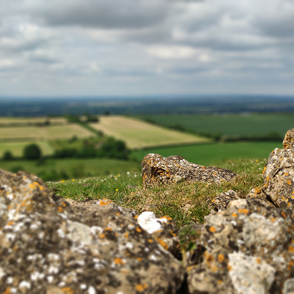 Sherborne countryside viewsquare